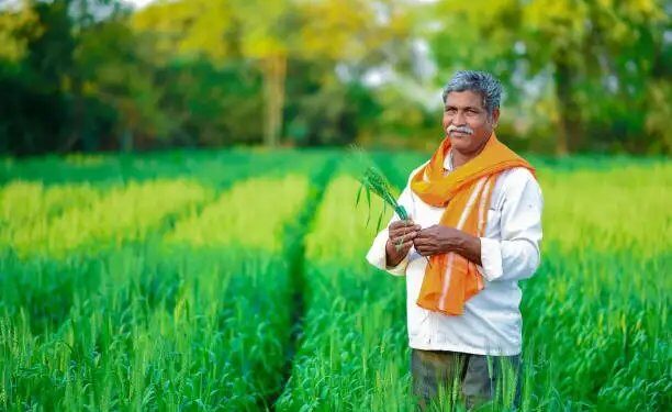 किसानों के अधिकार: जानिए वो हक जो आपके हाथ में हैं!