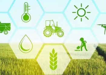 डिजिटल खेत की ओर बढ़ता भारत: ‘डिजिटल कृषि मिशन’ से किसानों को मिलेगा तकनीक का साथ