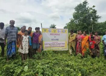 KVK सिपाहीजला द्वारा सेसम की वैज्ञानिक खेती पर किसान जागरूकता कार्यक्रम का आयोजन किया गया