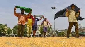 अगले 3 दिन राजधानी में गर्मी का तांडव, IMD ने जारी किया अलर्ट