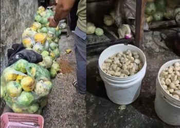 पंजाब: मोमोज फैक्ट्री में पड़ा छापा, इनसाइड वीडियो देख रह जाएंगे हैरान