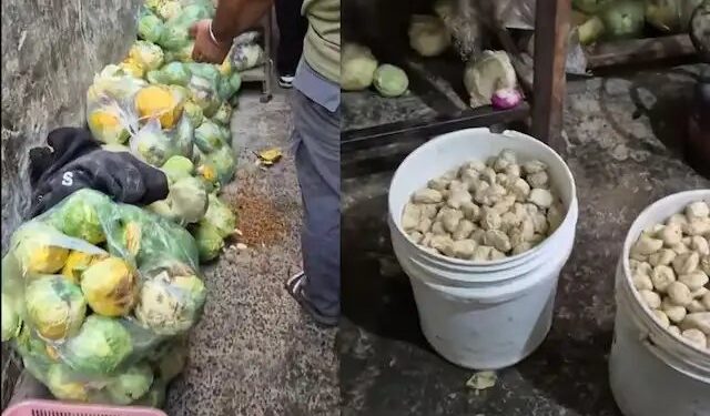 पंजाब: मोमोज फैक्ट्री में पड़ा छापा, इनसाइड वीडियो देख रह जाएंगे हैरान