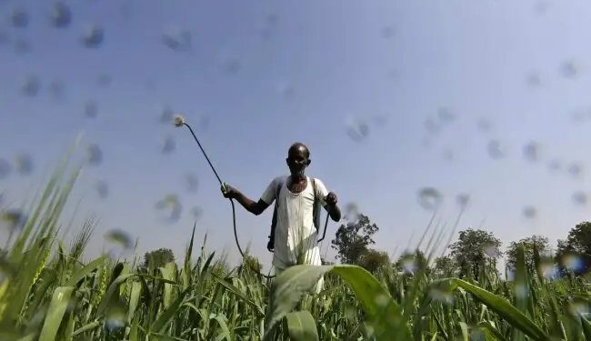 बीमा और कृषि विभाग से नहीं मिली कोई मदद, अकोला और सेनगाव में भारी बारिश ने बढ़ाई किसानों की मुश्किलें