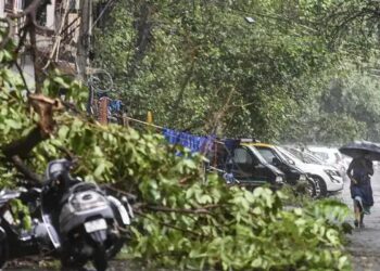 2 मौतें, 23 लोग जख्मी और कई पेड़ उखड़े, दिल्ली में रात को आए तूफान ने मचाया कोहराम