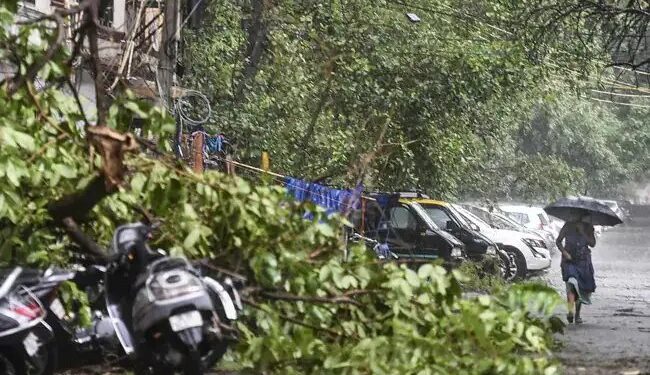 2 मौतें, 23 लोग जख्मी और कई पेड़ उखड़े, दिल्ली में रात को आए तूफान ने मचाया कोहराम