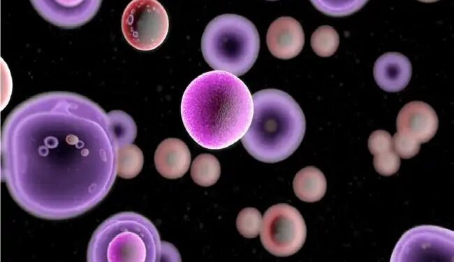 गुर्दे के कैंसर के चिकित्सा समाधान की दिशा में वैज्ञानिकों ने एक महत्वपूर्ण खोज