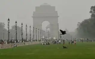 इन राज्यों में शीतलहर, IMD ने जारी किया मौसम अपडेट, पढ़ें पूरी खबर..