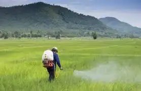 भारतीय कृषि रसायन निर्यात 4 वर्षों में 80,000 करोड़ रुपये तक पहुंच सकता है: एसीएफआई-ईवाई रिपोर्ट