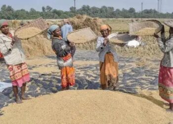 UP: फार्मर रजिस्ट्री कराना किसानों के लिए हुआ ओर आसान, चंद मिनटों में मिलेगा 2 लाख का लोन