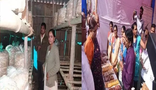 सिविल इंजीनियर मशरूम की खेती कर सफल महिला उद्यमी बनीं