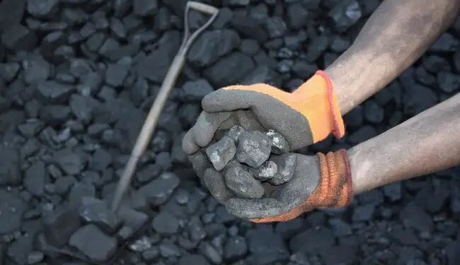 धरती की कोख से रोशनी तक: जानिए कैसे निकलता है कोयला और कैसे बनती है बिजली!