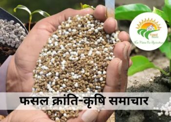 डीएपी उर्वरक की कीमतें 720 डॉलर प्रति टन पर पहुँची: सरकार पर सब्सिडी का बोझ बढ़ा