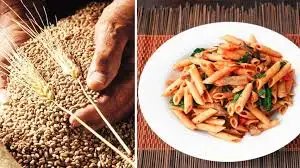चपाती और पास्ता बनाने के लिए उपयुक्त नई लॉन्च की गई ‘पूसा गौरव’ गेहूं की किस्म