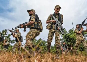 छत्तीसगढ़ सुरक्षाबलों की बड़ी कार्रवाई, नक्सली ठिकाने से 8 लाख रुपये और विस्फोट बरामद