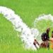 कैबिनेट ने प्रधानमंत्री कृषि सिंचाई योजना की उप-योजना के लिए 1,600 करोड़ रुपये दिए