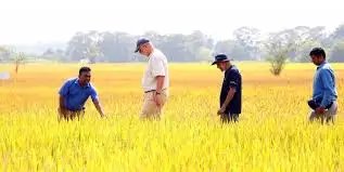 खेती को युवाओं के लिए बना रहे हैं आकर्षक करियर विकल्प, सरकार की कई योजनाएं दे रहीं नई दिशा