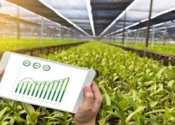 किसानों के लिए 7 इनोवेटिव बिजनेस आइडियाज: पारंपरिक खेती से आगे बढ़कर कमाएं मोटा मुनाफा