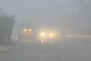 इन राज्यों में जारी हुआ कोहरे का अलर्ट, जानें क्या है मौसम का हाल?