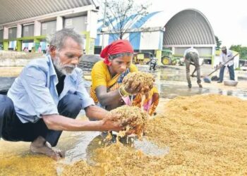 खरीफ सीजन में बढ़ती खाद की मांग के बीच लापरवाही उजागर, सोशल मीडिया पर वायरल वीडियो ने मचाया हड़कंप