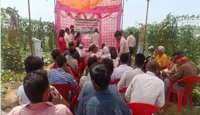 कृषि विज्ञान केंद्र हापुड़, ने आयोजित किया टेली एग्रीकल्चर