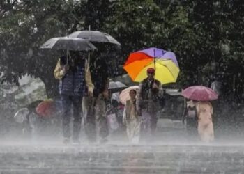 भारी बारिश की चेतावनी: IMD ने किसानों के लिए जारी की एडवाइजरी, फसल और पशुधन बचाने के दिए टिप्स