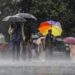 भारी बारिश की चेतावनी: IMD ने किसानों के लिए जारी की एडवाइजरी, फसल और पशुधन बचाने के दिए टिप्स