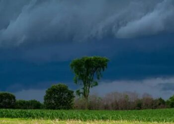 जुलाई में सामान्य से अधिक वर्षा की संभावना, कृषि अर्थव्यवस्था को मिलेगा बल