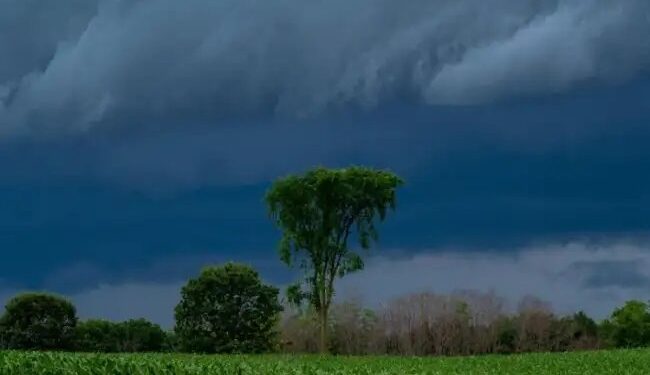 जुलाई में सामान्य से अधिक वर्षा की संभावना, कृषि अर्थव्यवस्था को मिलेगा बल