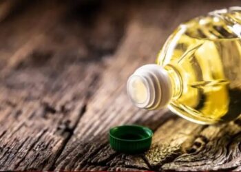 छत्तीसगढ़ में पाम ऑयल की खेती से किसानों की आय में क्रांति, सरकार दे रही भरपूर सब्सिडी और प्रशिक्षण