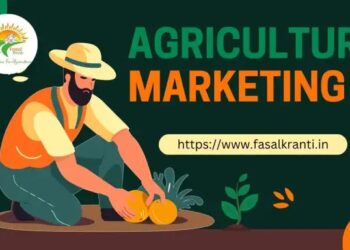 कृषि विपणन ( Agriculture Marketing)  में स्मार्ट रणनीतियाँ कैसे बनाये