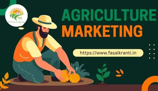 कृषि विपणन ( Agriculture Marketing)  में स्मार्ट रणनीतियाँ कैसे बनाये