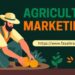 कृषि विपणन ( Agriculture Marketing)  में स्मार्ट रणनीतियाँ कैसे बनाये