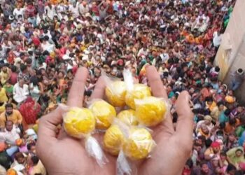 मथुरा में लड्डू मार होली के दौरान मचा हड़कंप, कई लोग घायल