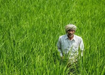 खरीफ 2025-26: कई फसलों के क्षेत्र और उत्पादन में बढ़ोतरी, सरकार ने फसल सुरक्षा के लिए उठाए कदम
