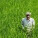 खरीफ 2025-26: कई फसलों के क्षेत्र और उत्पादन में बढ़ोतरी, सरकार ने फसल सुरक्षा के लिए उठाए कदम