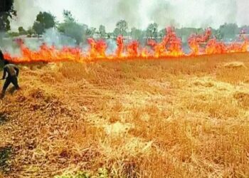 देवरिया के कई गांवों में आग से भयंकर नुकसान, जल गई गेहूं की फसल