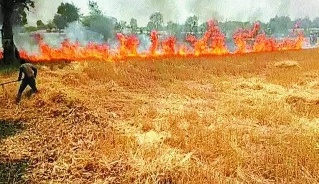 देवरिया के कई गांवों में आग से भयंकर नुकसान, जल गई गेहूं की फसल