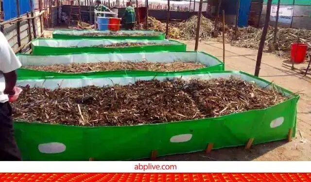 करें वर्मी कंपोस्ट की खरीद, फ्री मिलेगी गार्डनिंग किट, जल्द उठाएं ऑफर का लाभ