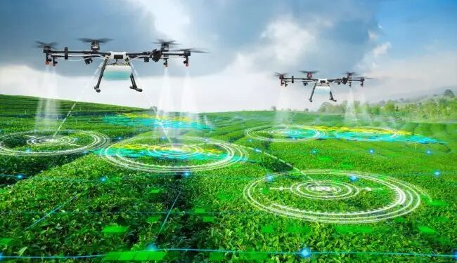 100 रुपये प्रति एकड़ के रेट पर होगा ड्रोन से स्प्रे, इतना खर्च देगी सरकार