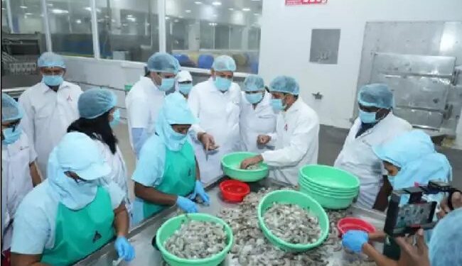 केंद्रीय मंत्री ने एक्वा फूड पार्क में झींगा खाद्य प्रसंस्करण इकाई का दौरा किया