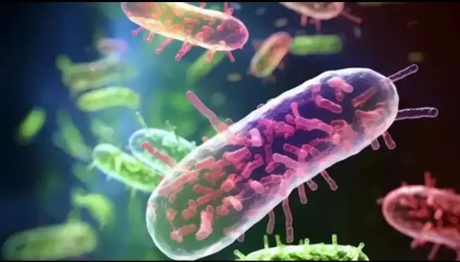 जापान में एक नई जानलेवा बीमारी ने दस्तक दे दी, बेइंतहा मर रहे लोग