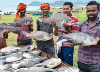 राष्ट्रीय मत्स्य किसान दिवस 2025: भुवनेश्वर में होगा भव्य आयोजन, मछुआरों और मत्स्य किसानों को मिलेगा सम्मान