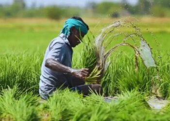 Digi-Claim: अब फसल बीमा क्लेम लेना हुआ आसान, किसानों को मिलेगा तुरंत मुआवजा