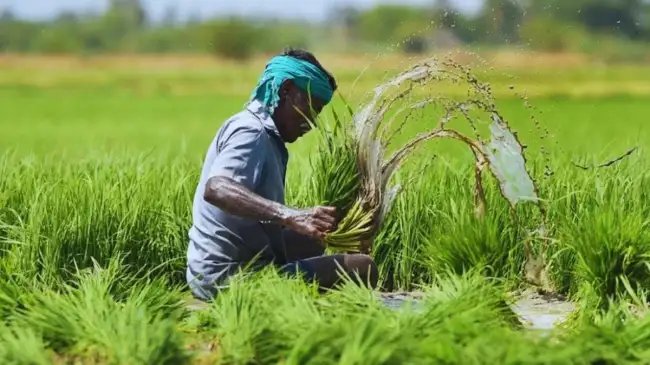 Digi-Claim: अब फसल बीमा क्लेम लेना हुआ आसान, किसानों को मिलेगा तुरंत मुआवजा