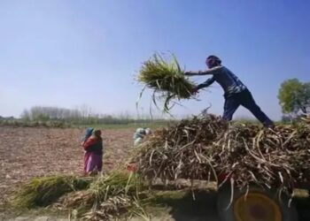 एफपीओ योजना ने बड़ी प्रगति की, 340 इकाइयों की बिक्री 10 करोड़ रुपये के पार