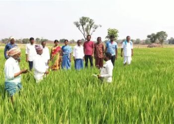 पंचकूला में किसानों के लिए जागरूकता अभियान, 400 से अधिक किसान हुए शामिल