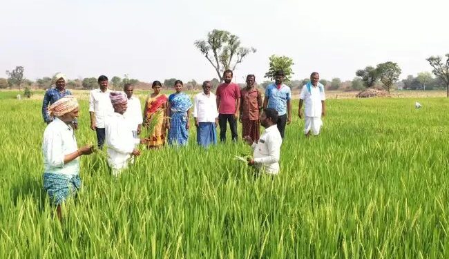 पंचकूला में किसानों के लिए जागरूकता अभियान, 400 से अधिक किसान हुए शामिल