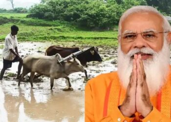 मोदी सरकार की FPO योजना है कारगार, उपज का मिलेगा सही दाम,जानें कैसे मिलेगा योजना का लाभ