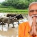 मोदी सरकार की FPO योजना है कारगार, उपज का मिलेगा सही दाम,जानें कैसे मिलेगा योजना का लाभ