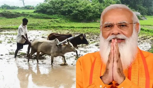 मोदी सरकार की FPO योजना है कारगार, उपज का मिलेगा सही दाम,जानें कैसे मिलेगा योजना का लाभ